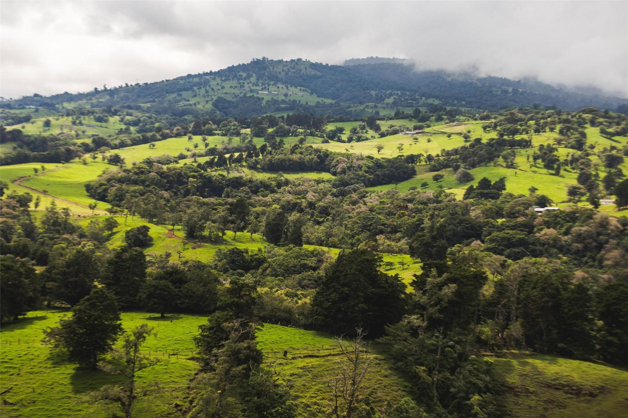 Hyatt Centric San Jose Escazu Hotel Eksteriør billede