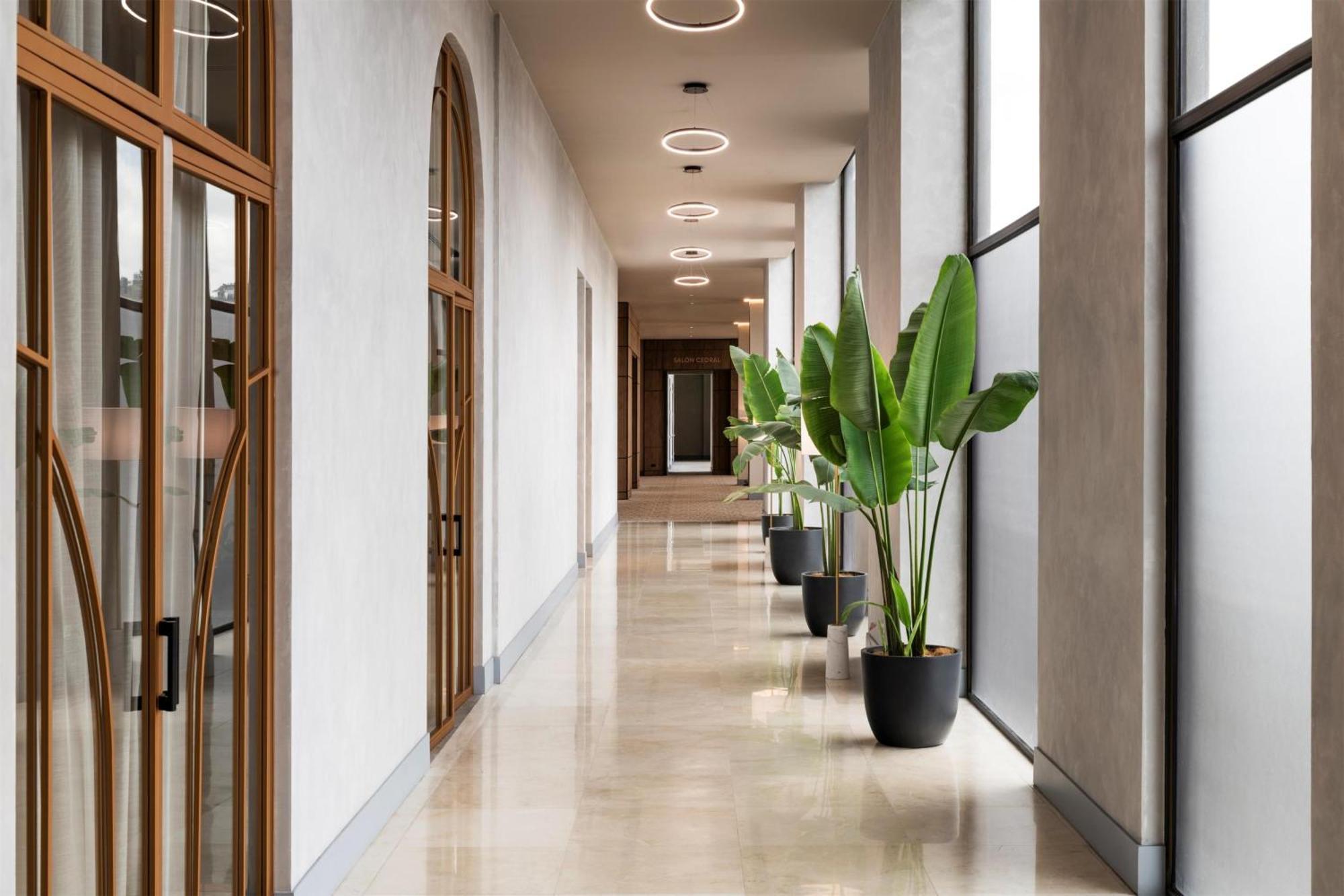 Hyatt Centric San Jose Escazu Hotel Eksteriør billede